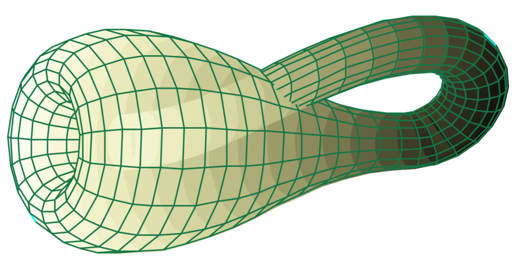 Klein Bottle