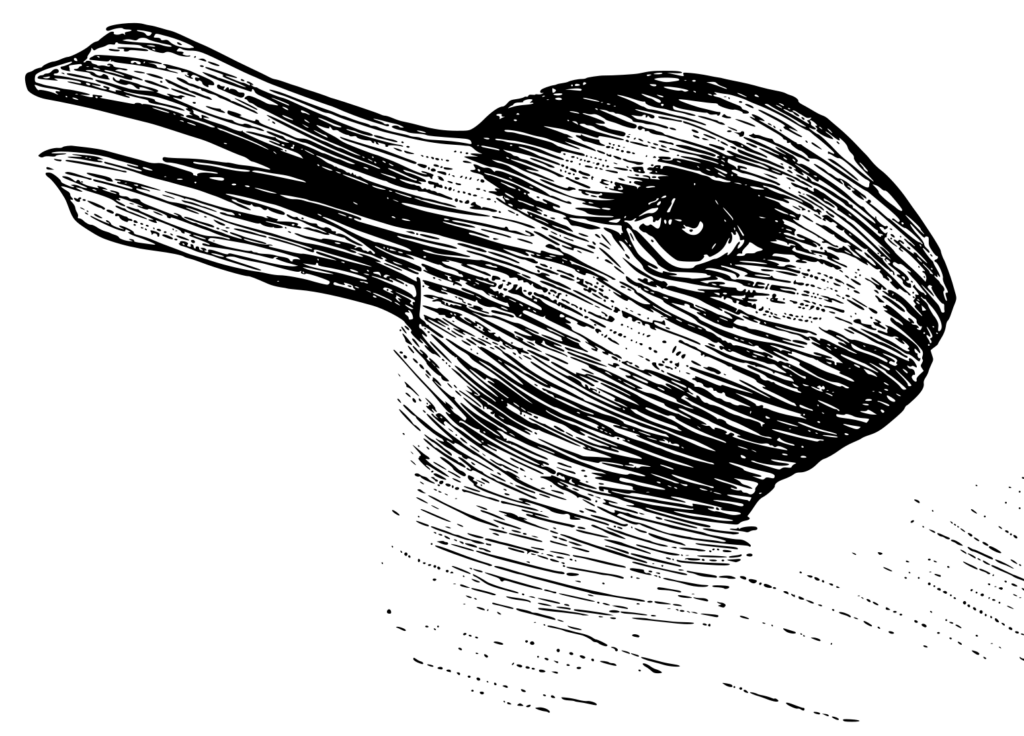 Duck & Rabbit Image